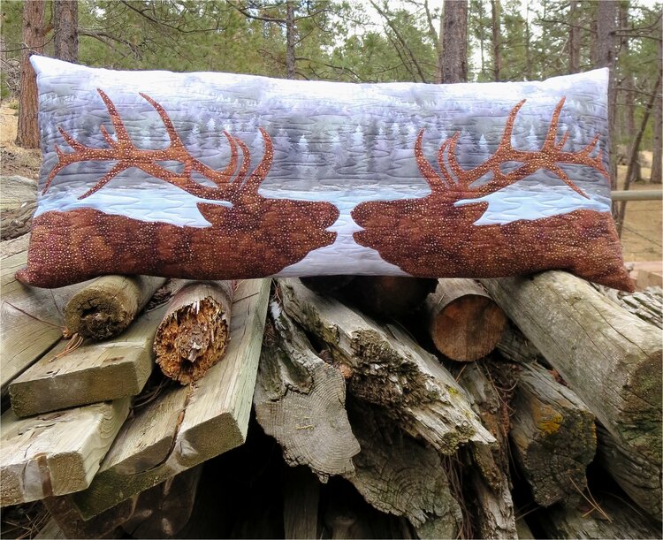Close Encounters Bench Pillow Pattern