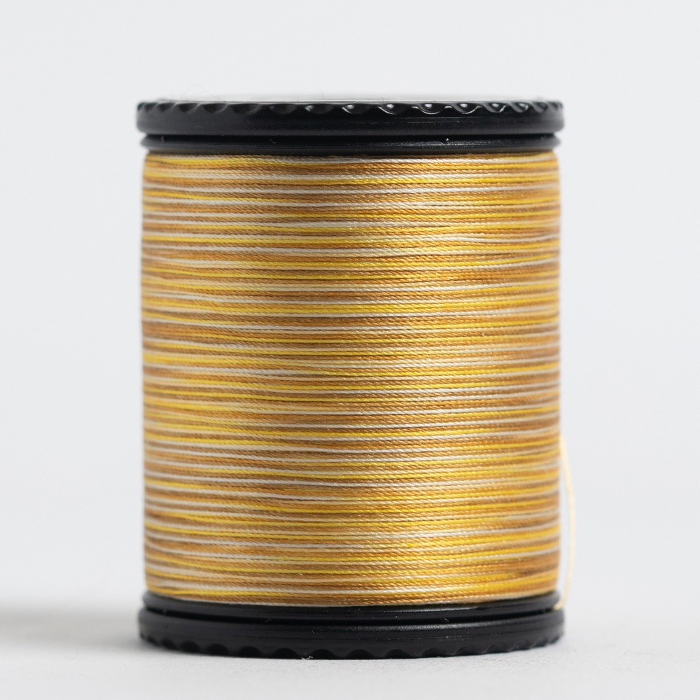 #50 TIARA variegated filament silk. #501. 273 yds.