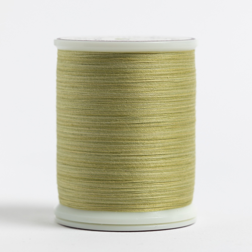 #969 DATE PALM King Tut Spool