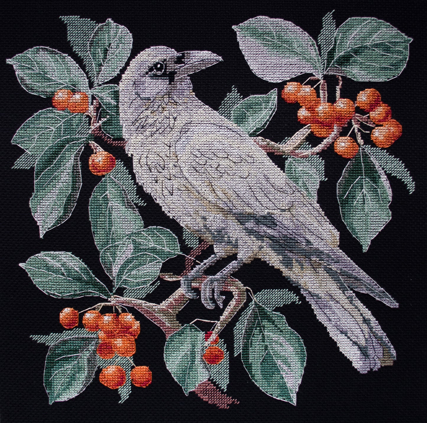 Another Beauty Cross Stitch Kit - Abris Art