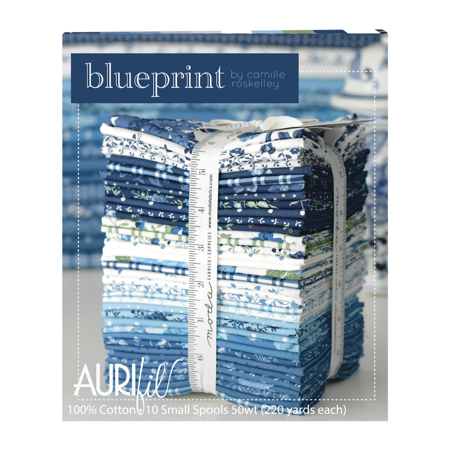 PRE-ORDER: Blueprint by Camille Roskelley