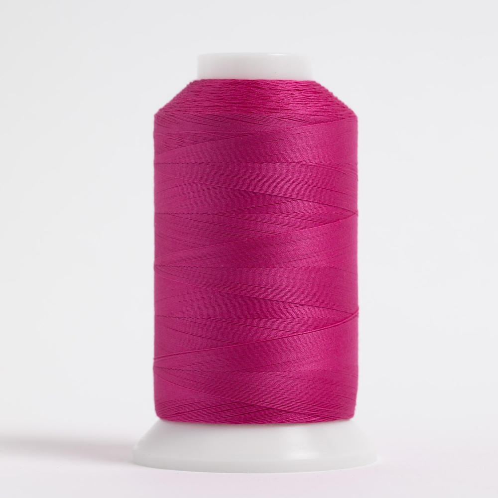 #116 PICASSO PINK MasterPiece Cone
