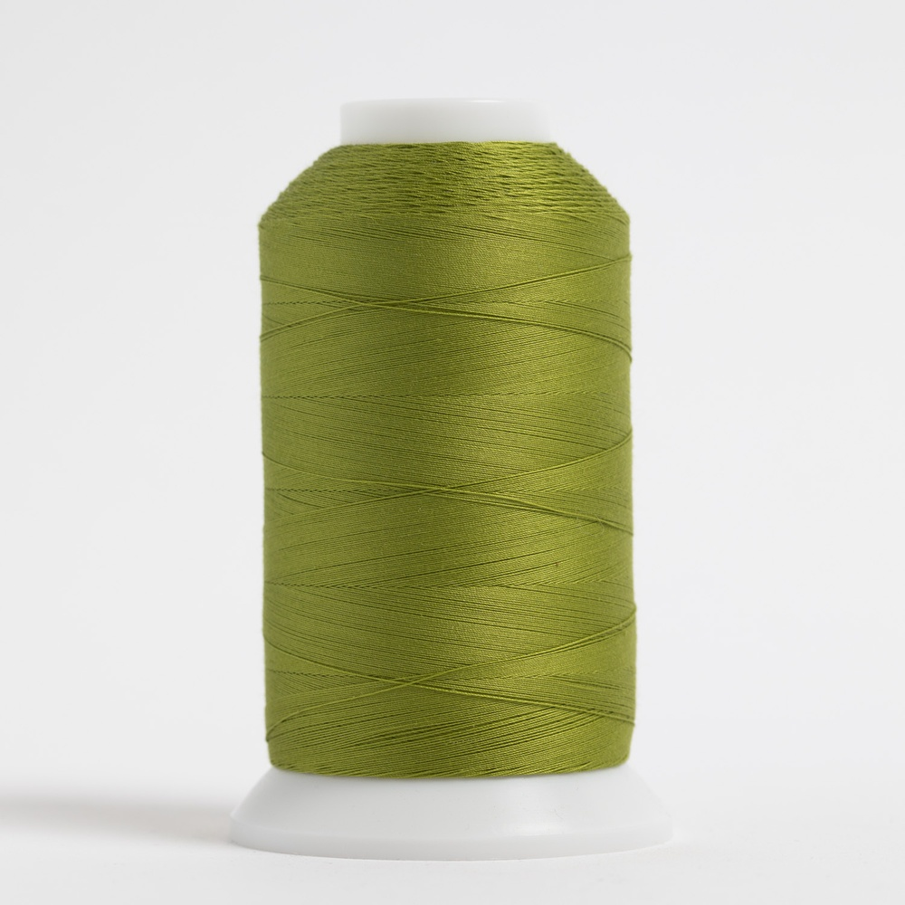 #164 DONATELLO MasterPiece Cone
