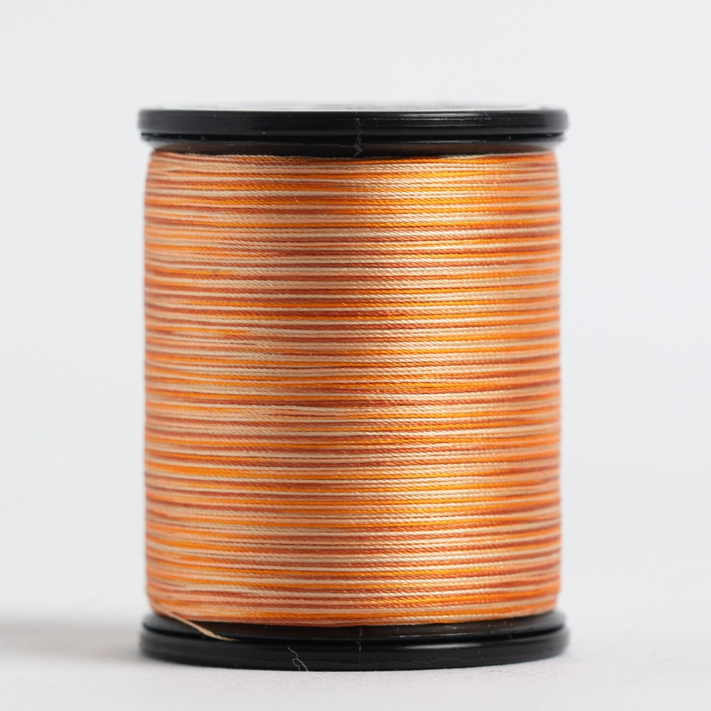 #50 TIARA variegated filament silk. #502. 273 yds.