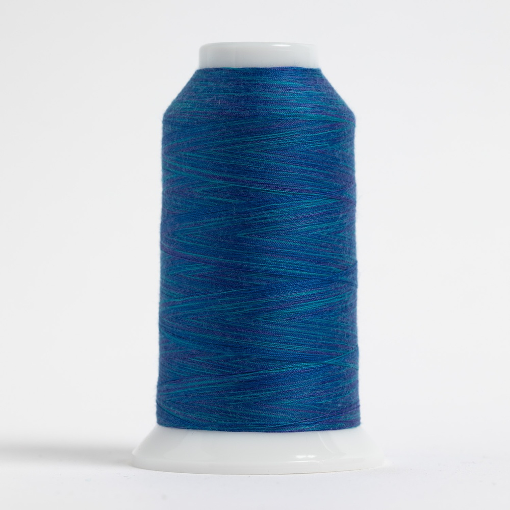 OMNI-V #9028 Caspian Sea Cone