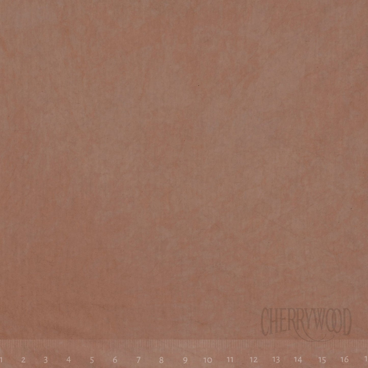 0265 Latte 8-Yard Bolt - Cherrywood Fabrics