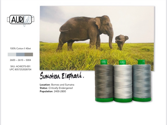 Sumatran Elephant Colour Builder