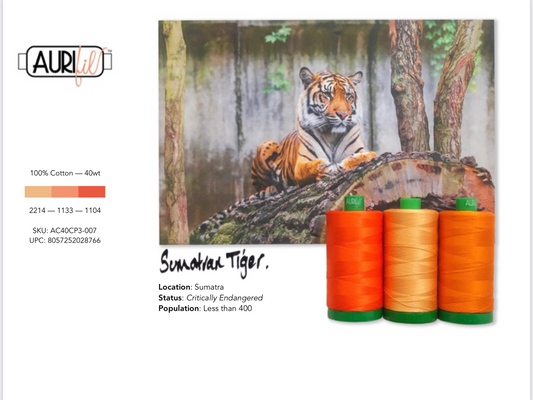 Sumatran Tiger Colour Builder