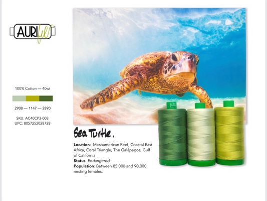 Sea Turtle Colour Builder