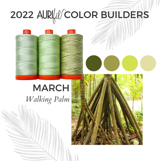 Walking Palm Colour Builder