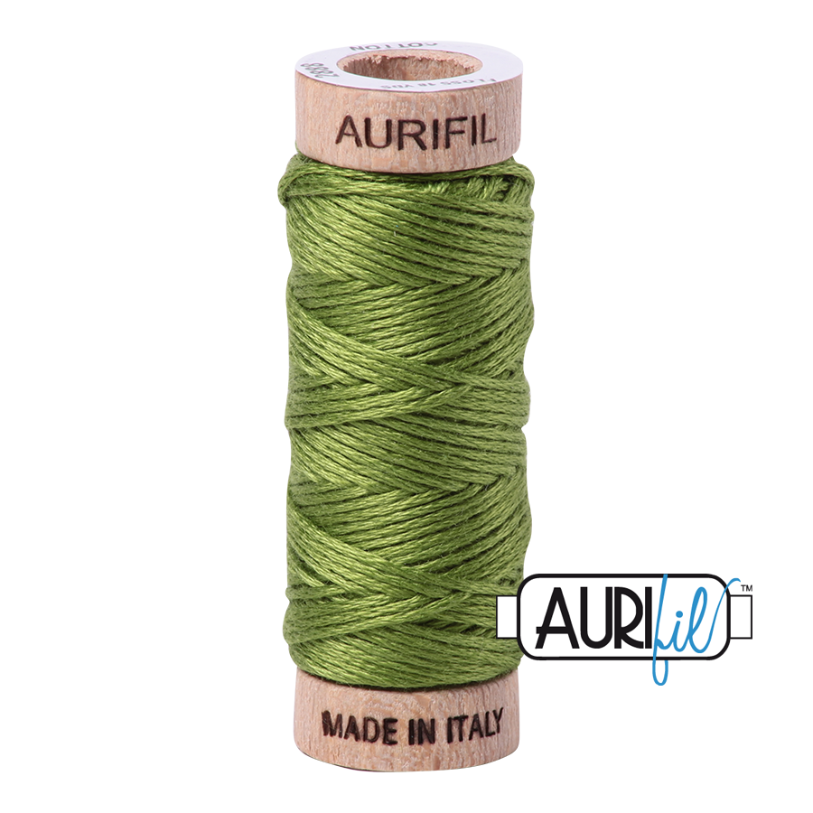 Floss Cotton 6-Strand Small Spool #2888 Fern Green