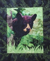 Back Door Bear Kit