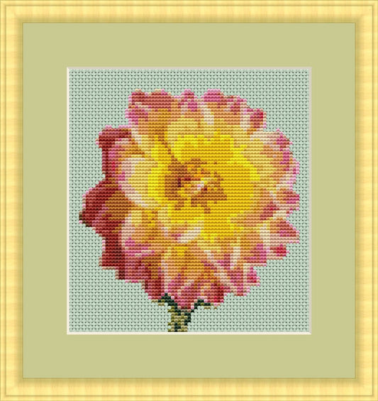 Dahlia cross stitch pattern