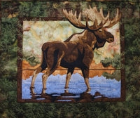 Hidden Lake Kit - Toni Whitney Design