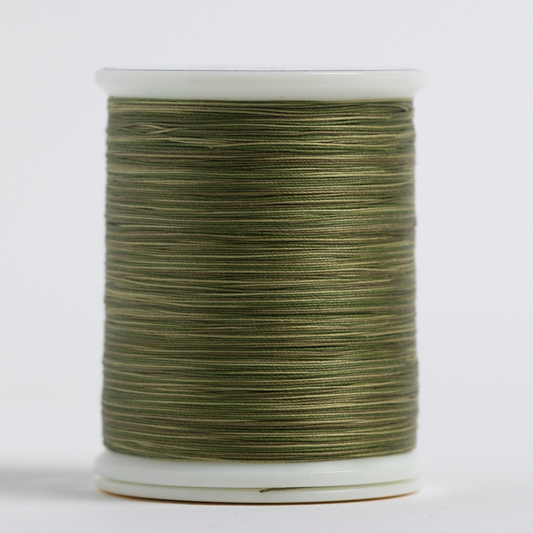 #571 FAMILY TREE Treasure 300 yds.