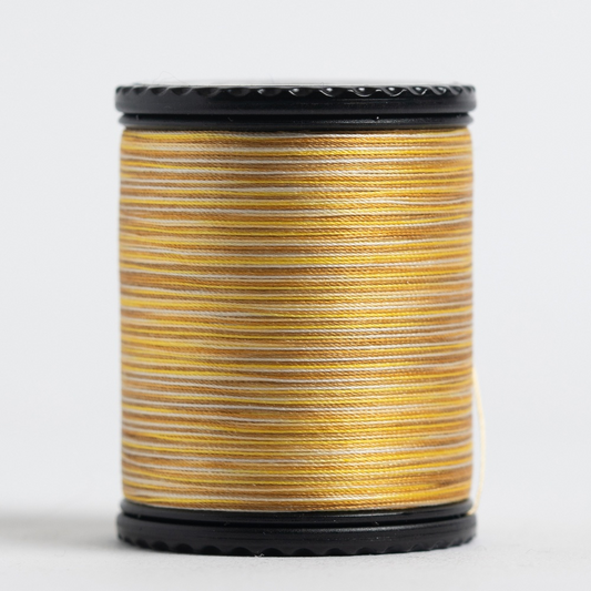 #50 TIARA variegated filament silk. #501. 273 yds.