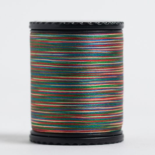 #50 TIARA variegated filament silk. #608. 273 yds.