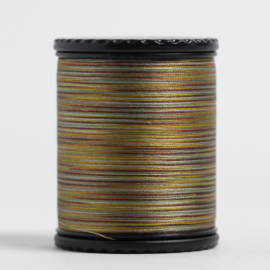 #50 TIARA variegated filament silk. #702. 273 yds.