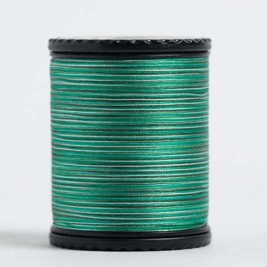 #50 TIARA variegated filament silk. #506. 273 yds.