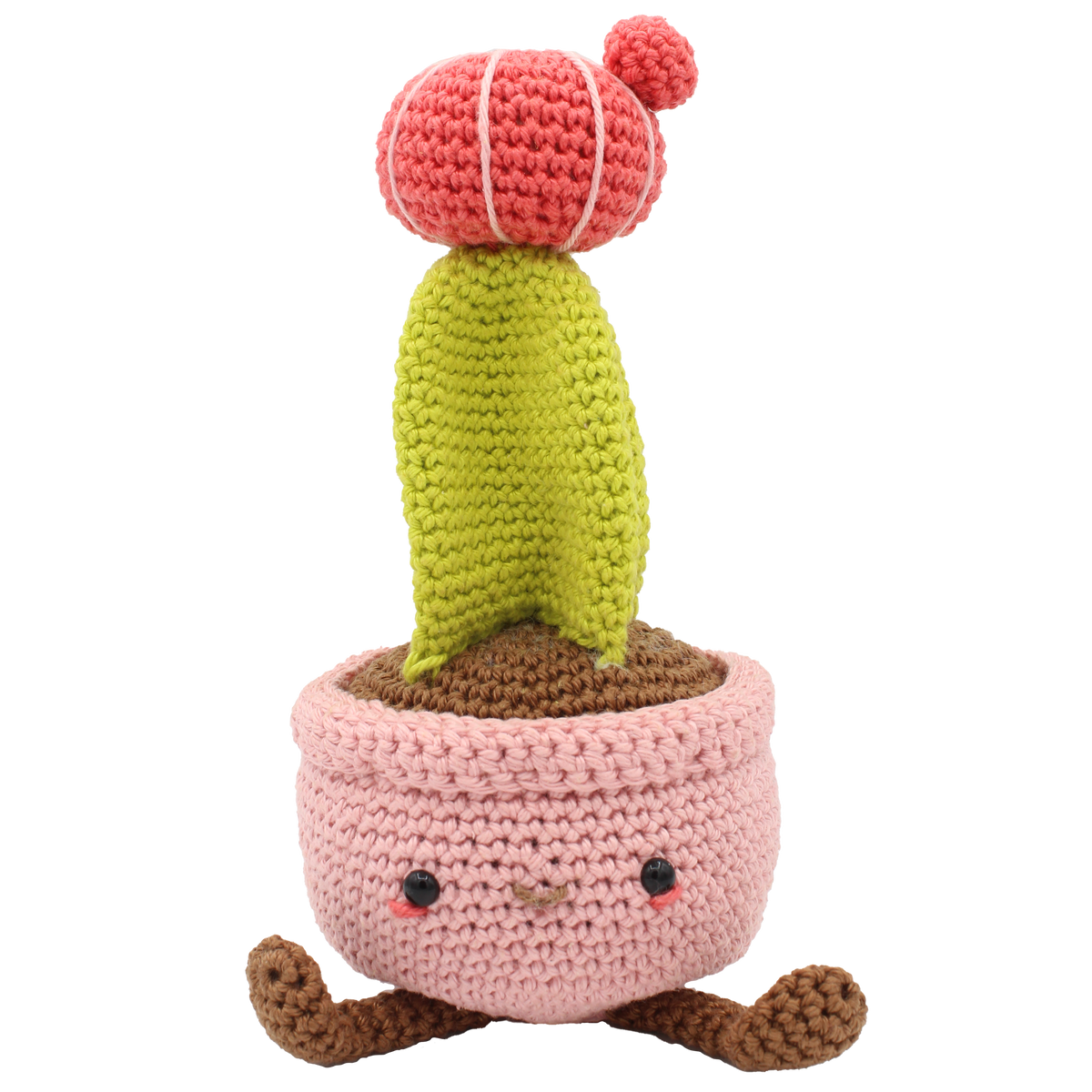 Moon Cactus Crochet Kit