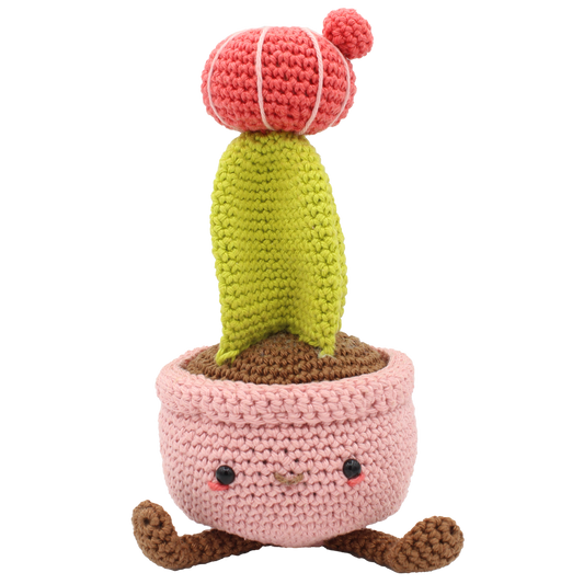Moon Cactus Crochet Kit