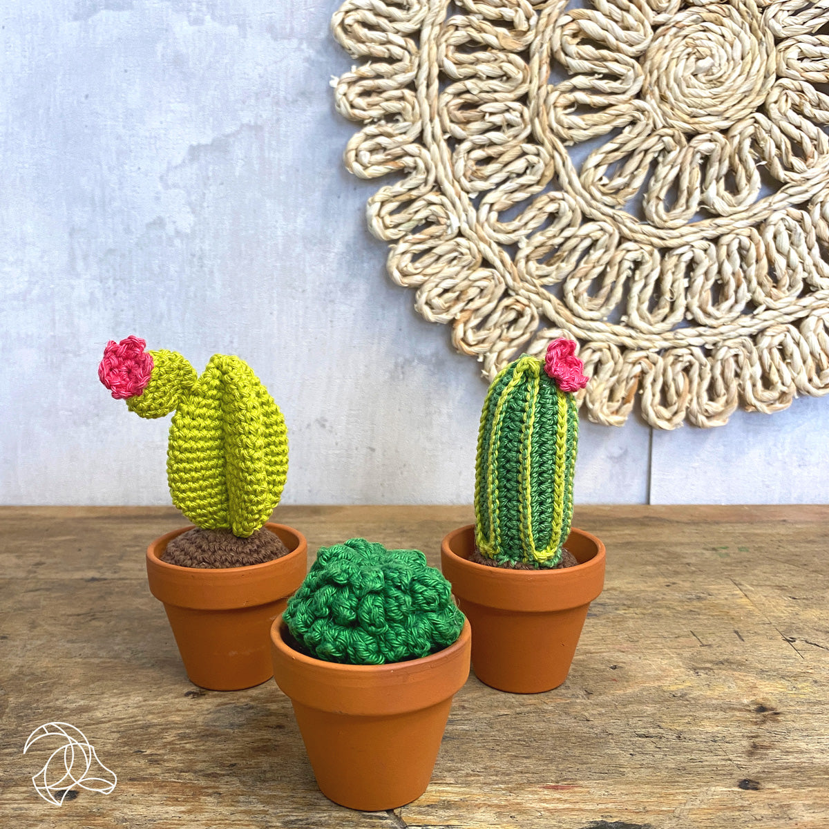 Cacti Crochet Kit