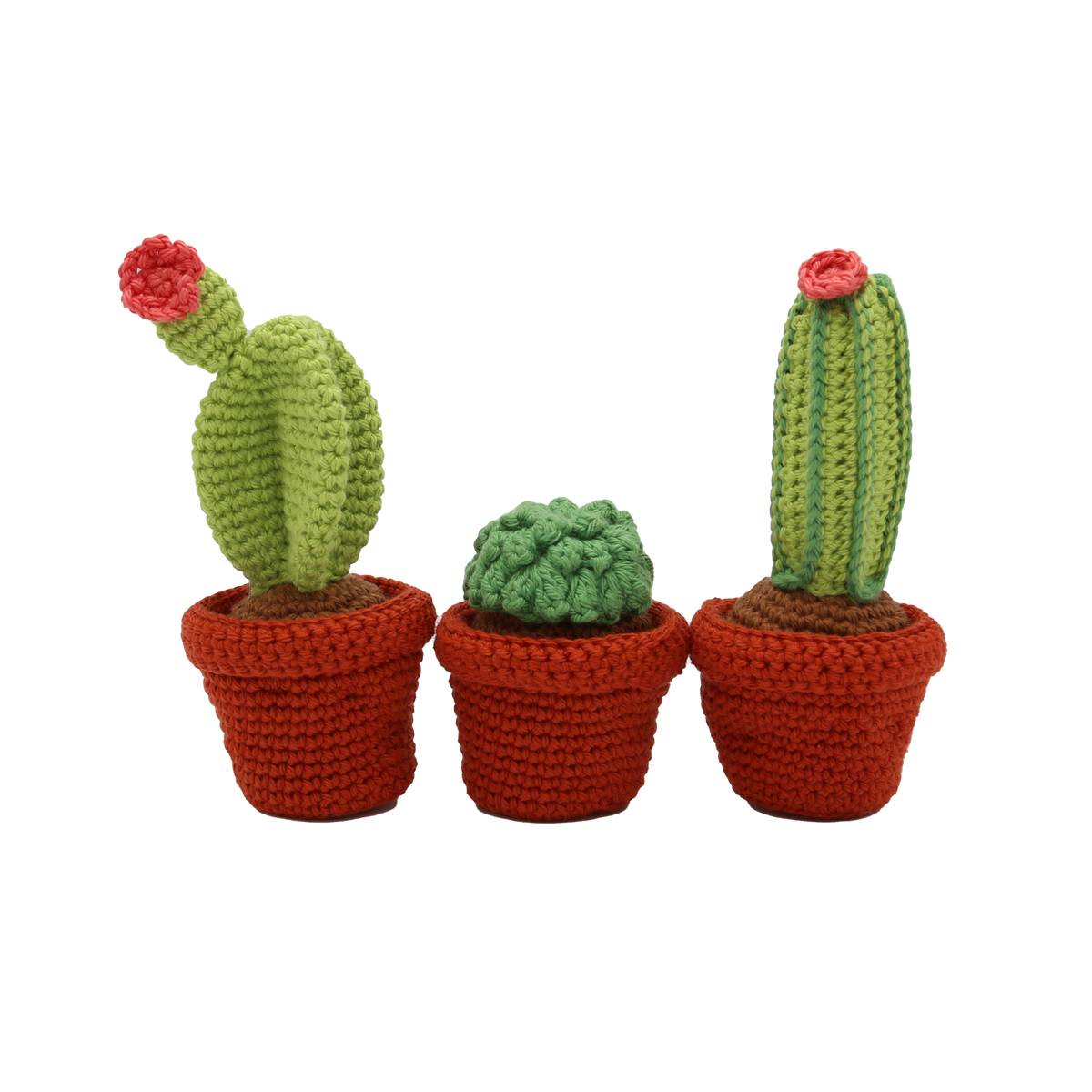 Cacti Crochet Kit