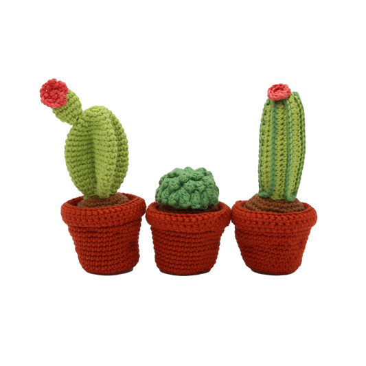 Cacti Crochet Kit