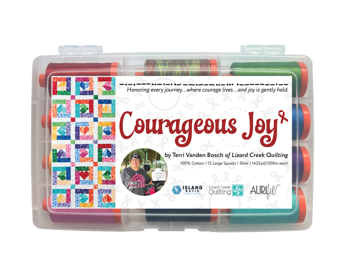 PRE-ORDER: Courageous Joy by Terri Vanden Bosch