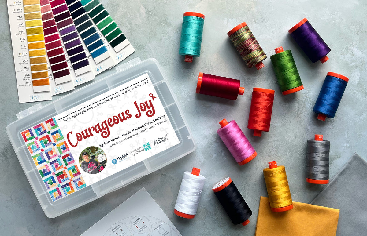 PRE-ORDER: Courageous Joy by Terri Vanden Bosch