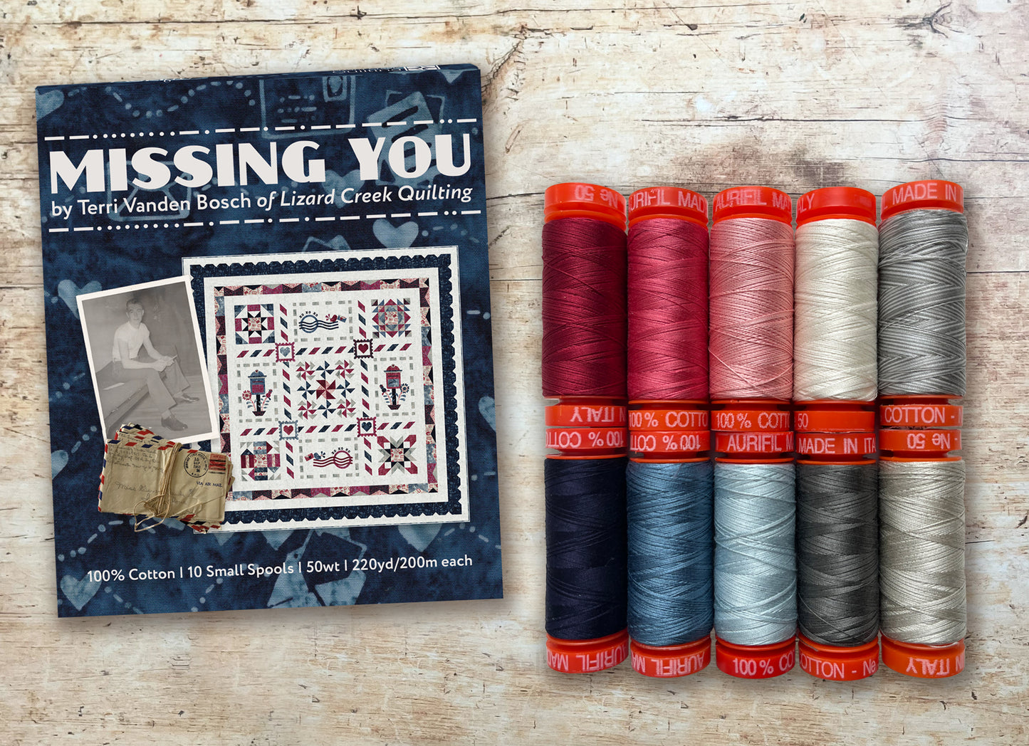 PRE-ORDER: Missing You by Terri Vanden Bosch