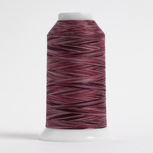 OMNI-V #9072 Bumbleberry Cone