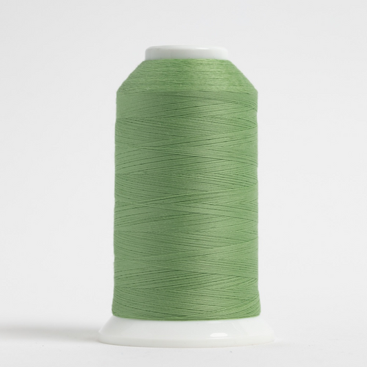 #493 PASTEL GREEN So Fine! 3280 yds.