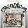 Kitten Kaboodle Kit - Toni Whitney Design