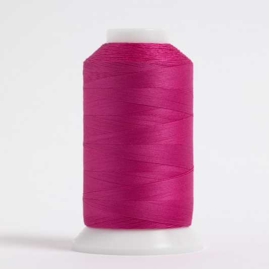 #116 PICASSO PINK MasterPiece Cone