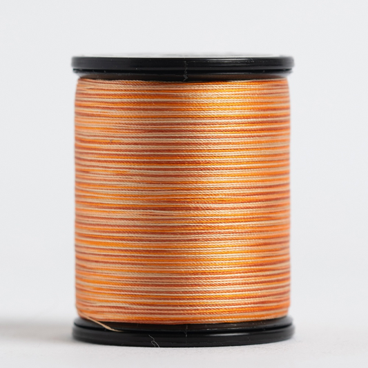 #50 TIARA variegated filament silk. #502. 273 yds.