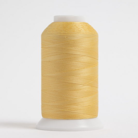 #123 LEMONADE MasterPiece Cone